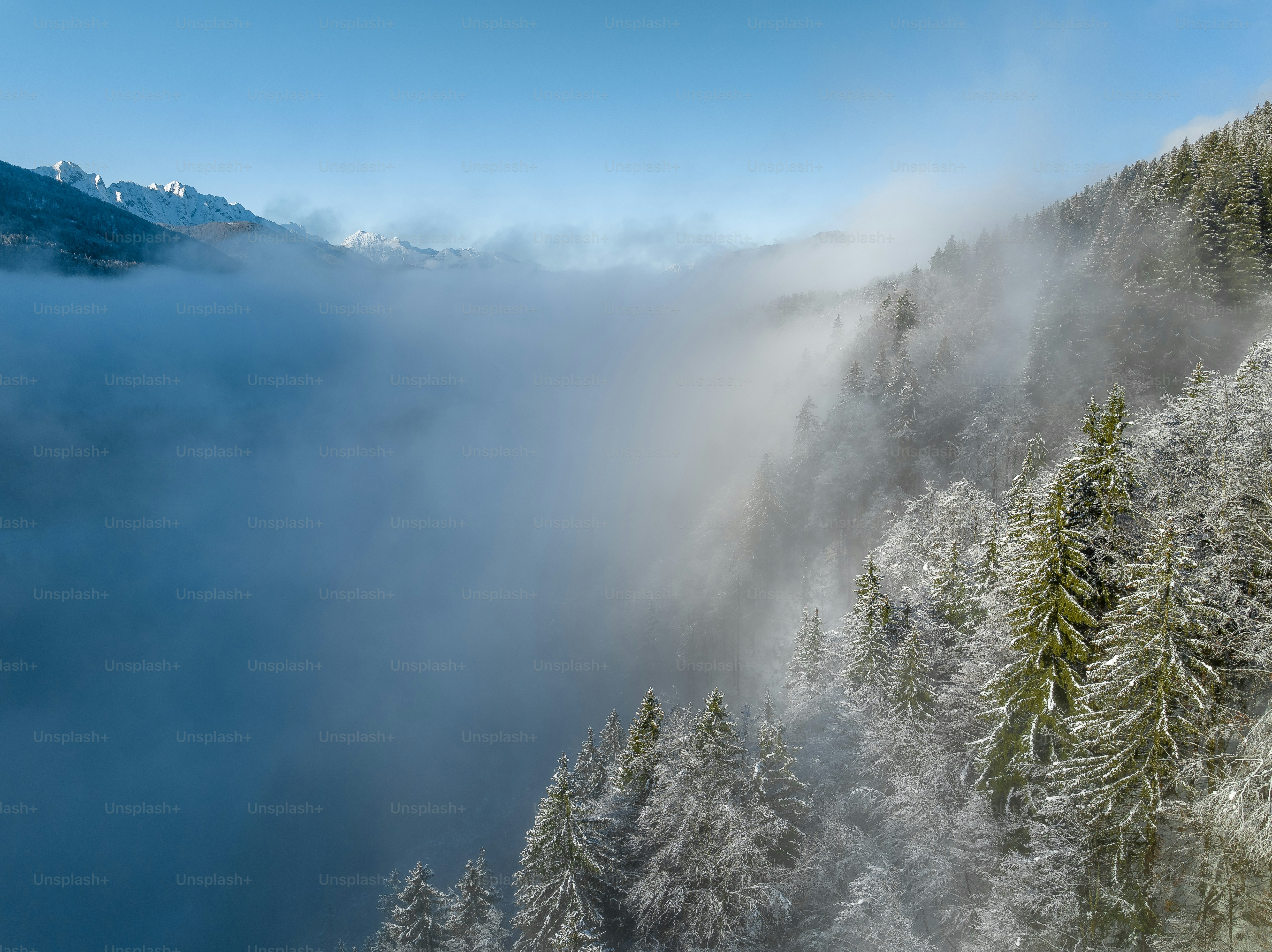 a foggy mountain side