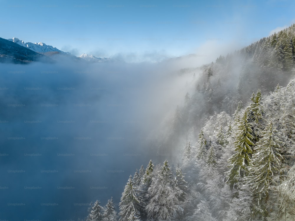 una ladera de montaña con niebla