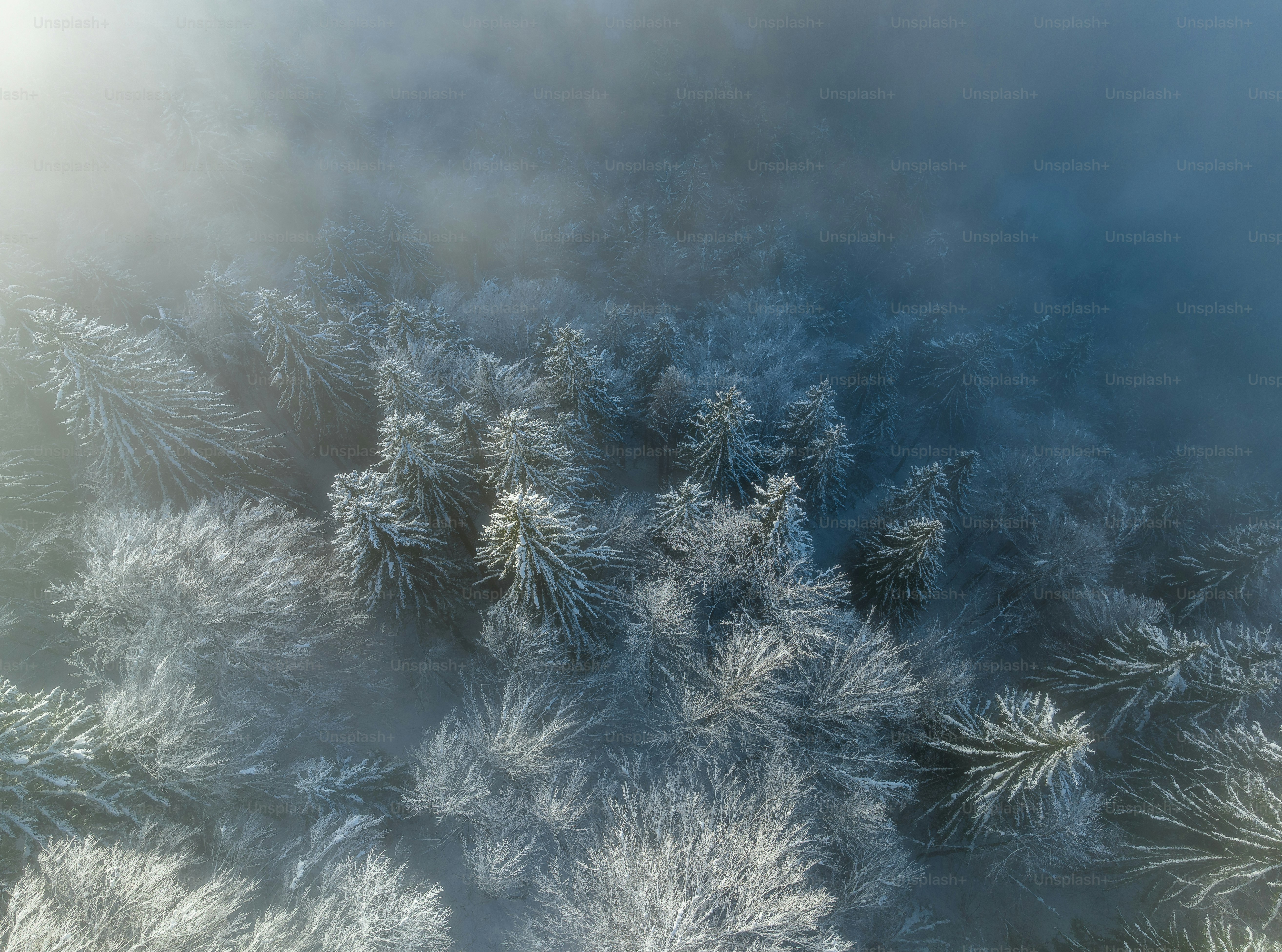 Sunrise in the winter forest. Image was taken with a drone.