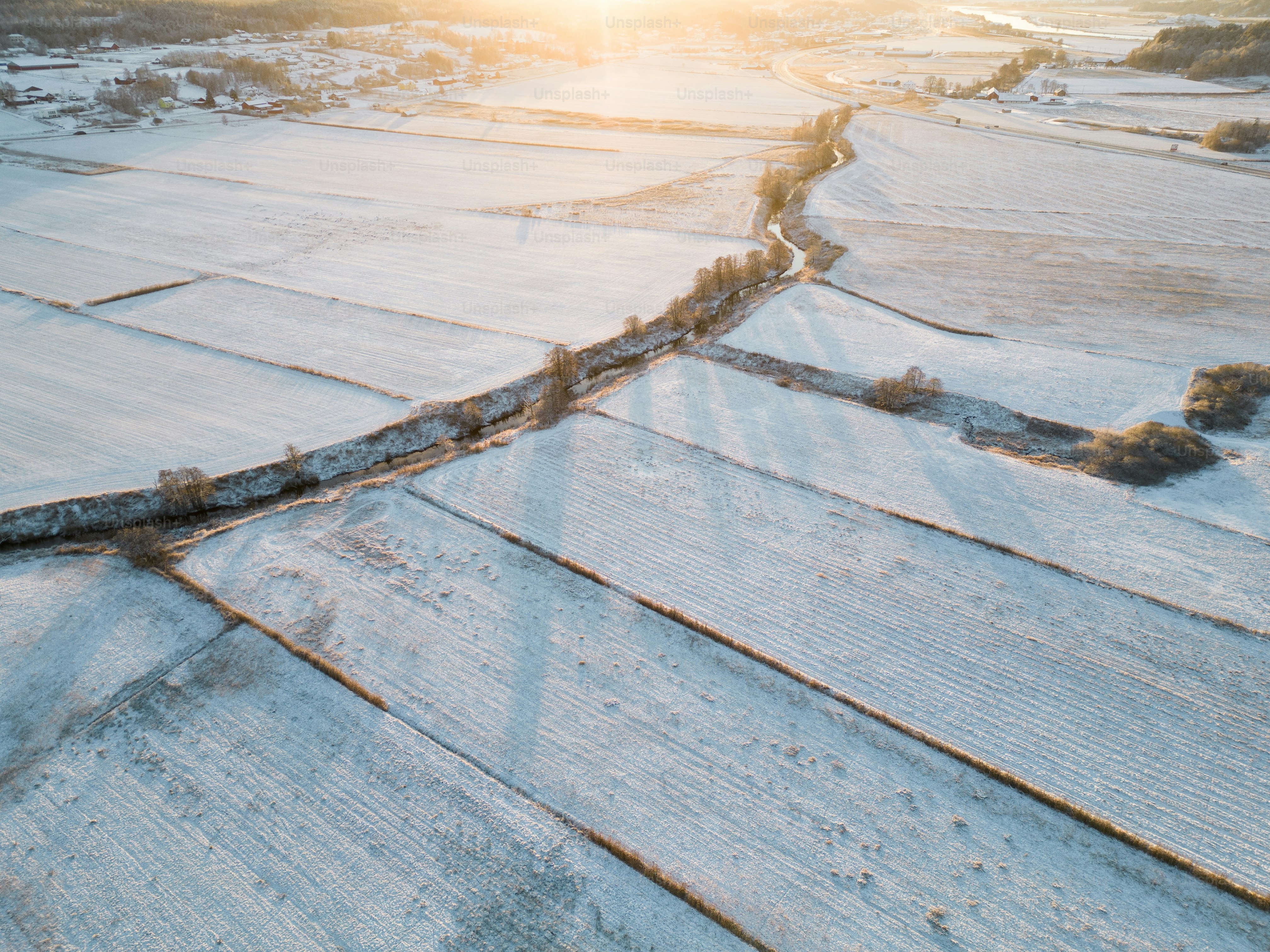 a close-up of a desert