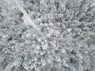 a close-up of a road