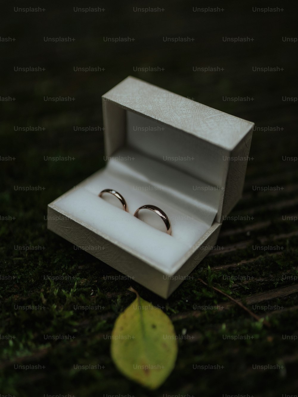 Un par de anillos de boda en una caja blanca