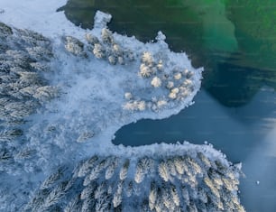 an aerial view of snow covered trees and water