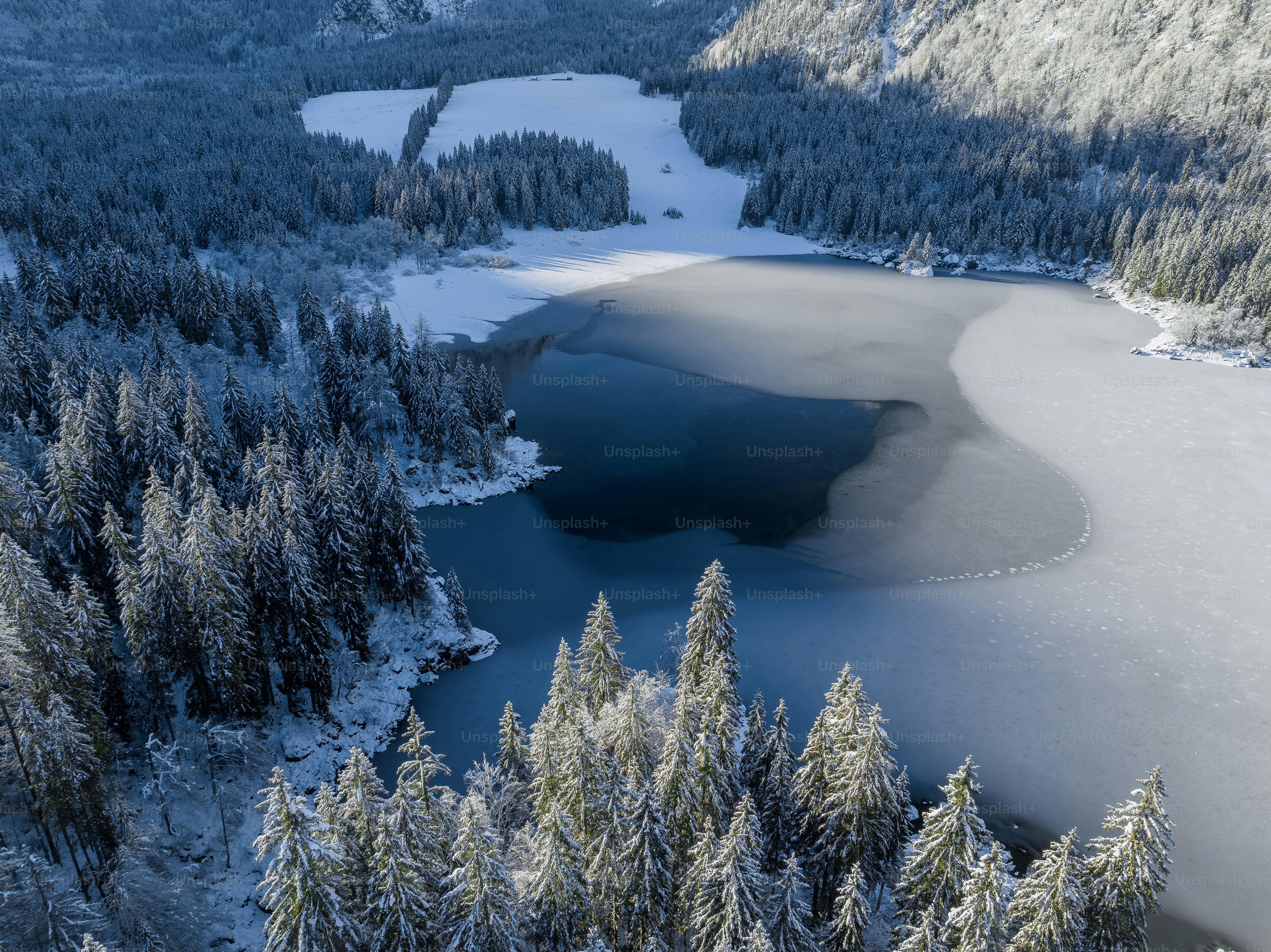 An aerial view of a lake surrounded by trees photo – Winter Image on ...