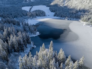 an aerial view of a lake surrounded by trees