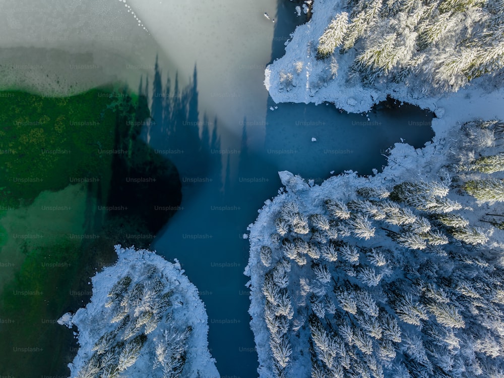 Un fiume che attraversa una foresta coperta di neve
