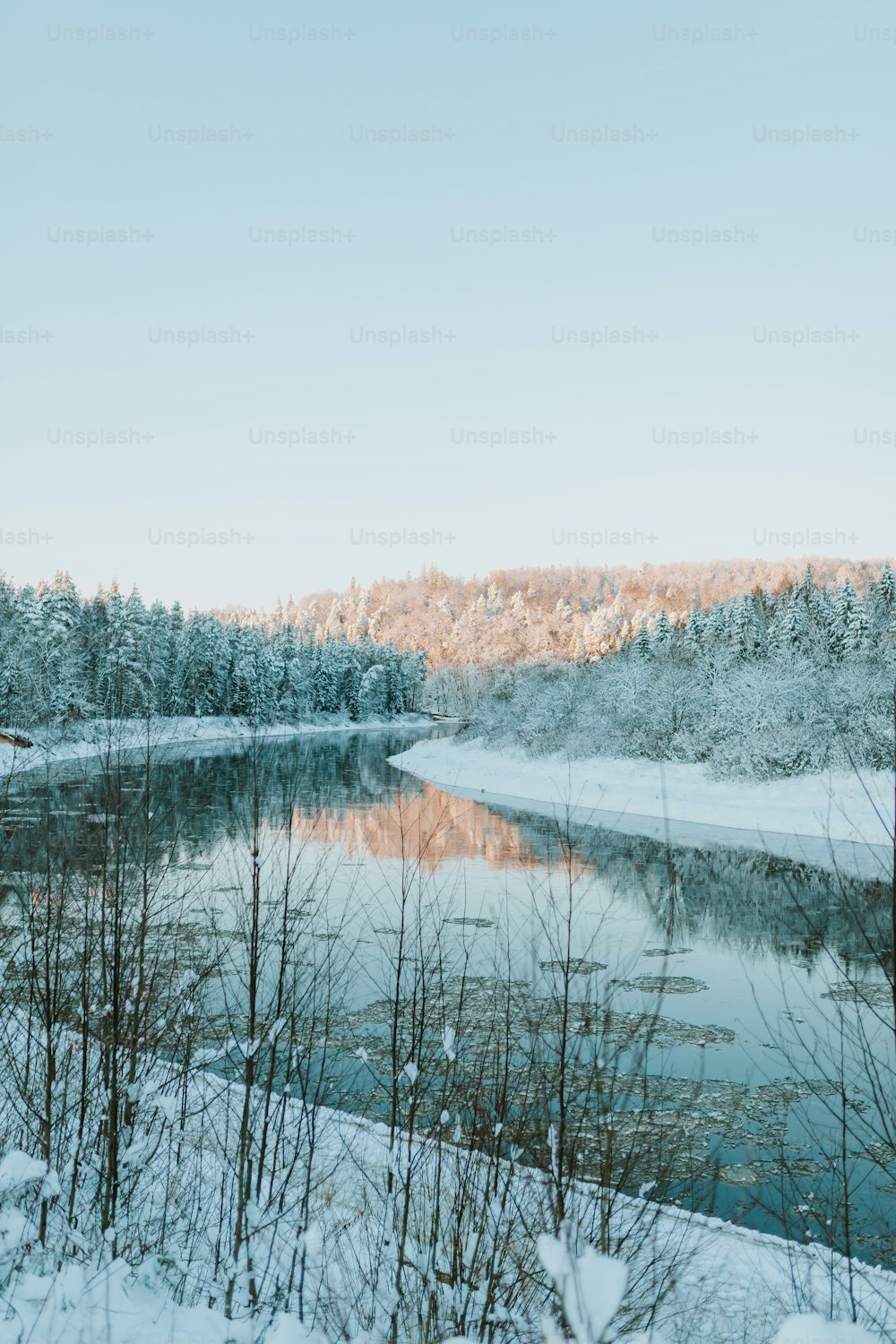 um lago cercado por árvores cobertas de neve e uma floresta