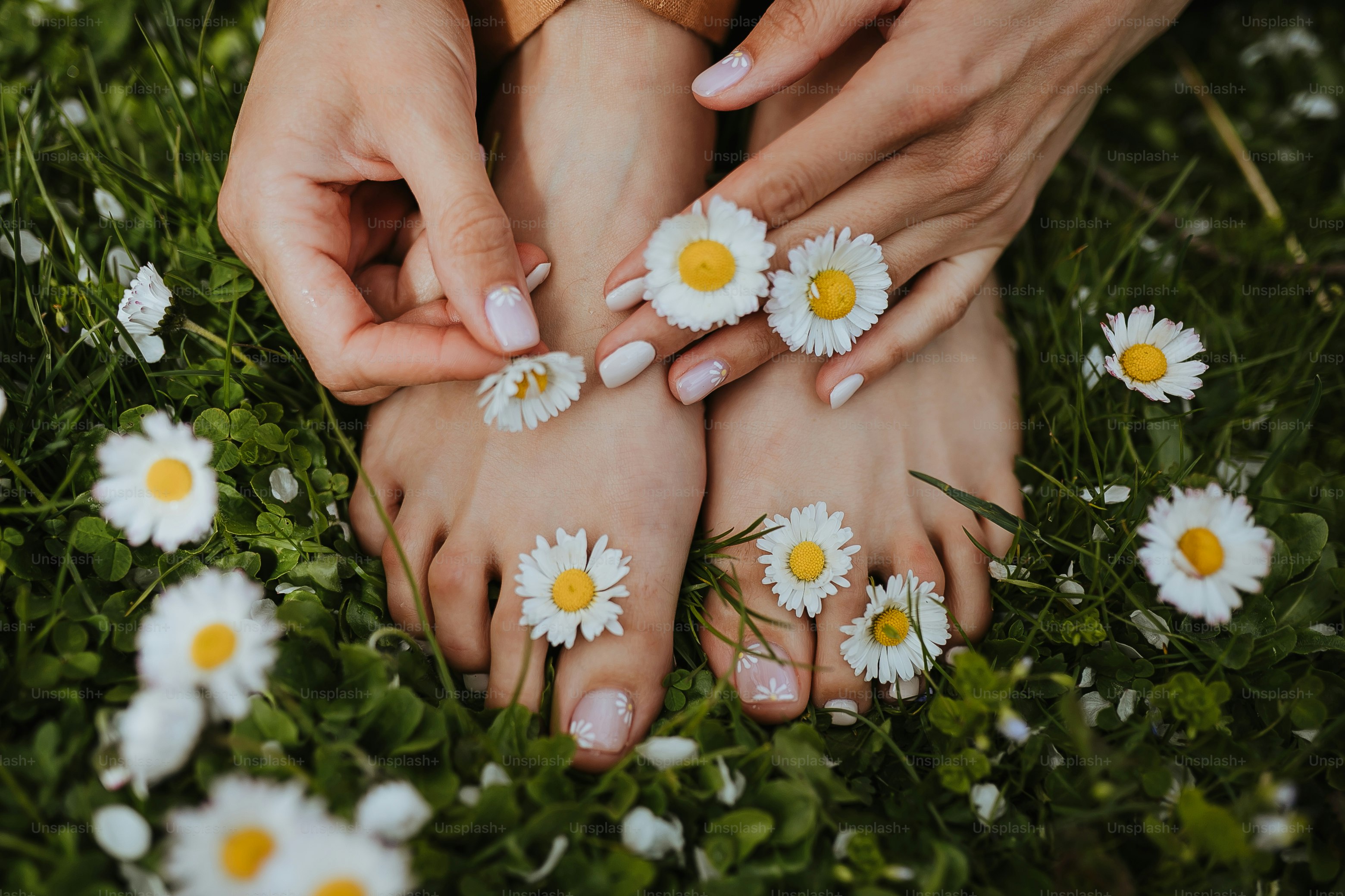 a close-up of hands holding flowers