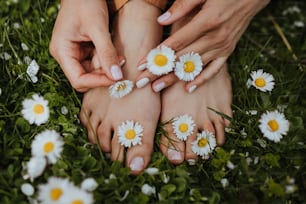 um close-up de mãos segurando flores