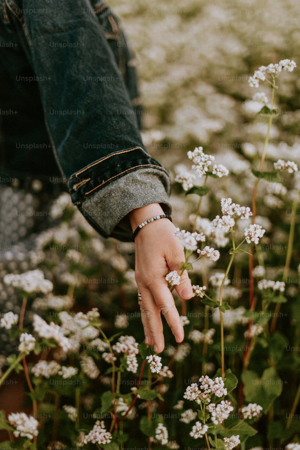 um par de mãos segurando flores