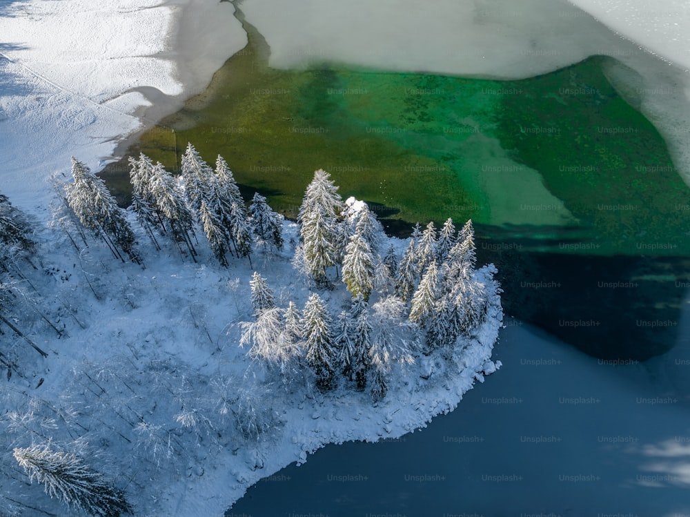 an aerial view of a lake surrounded by snow covered trees