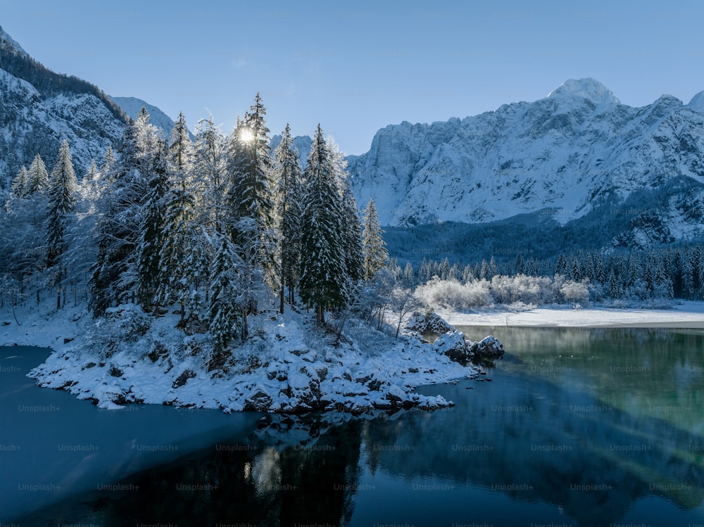 雪に覆われた山々や木々に囲まれた湖