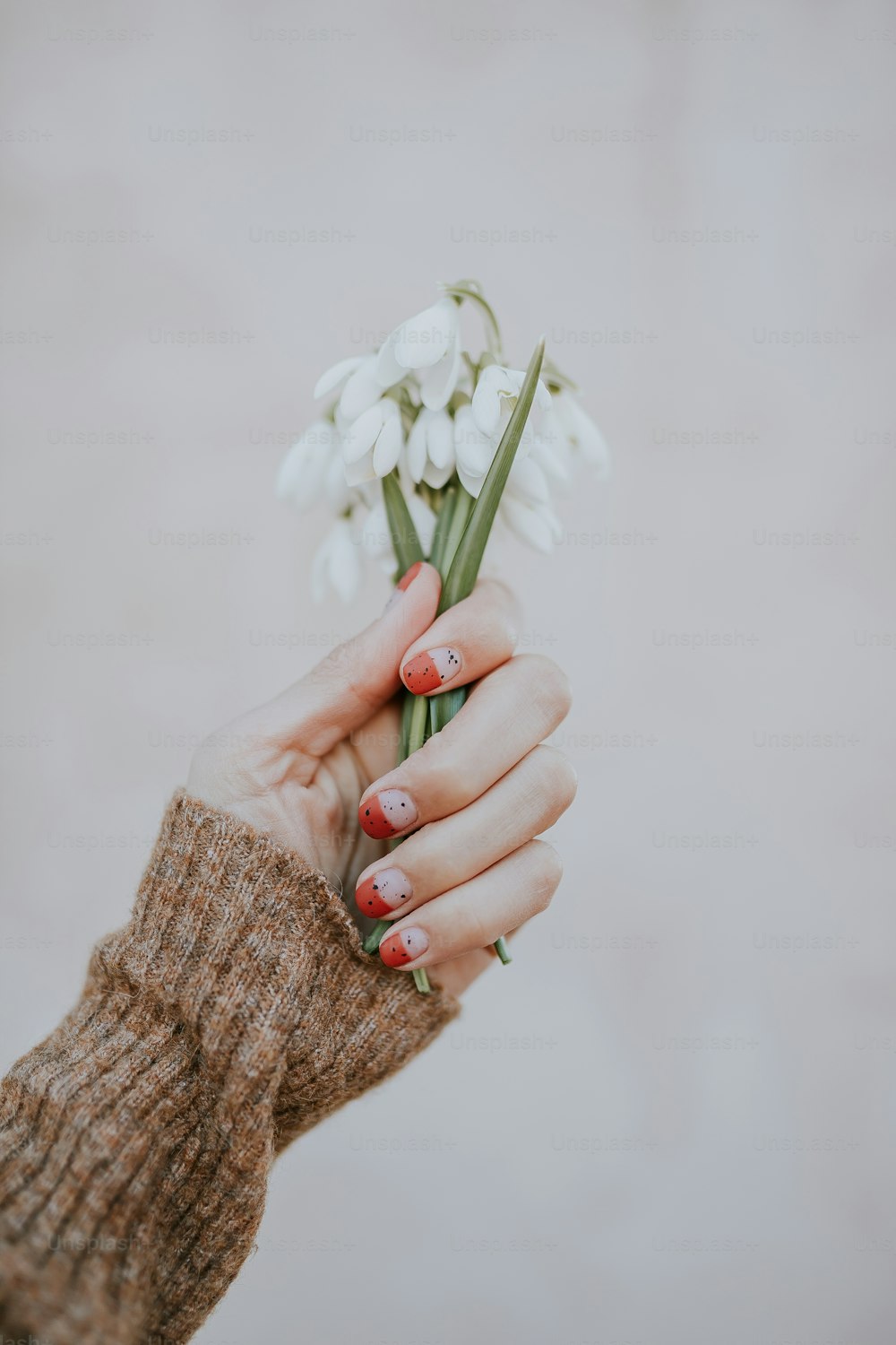 una persona sosteniendo una flor blanca