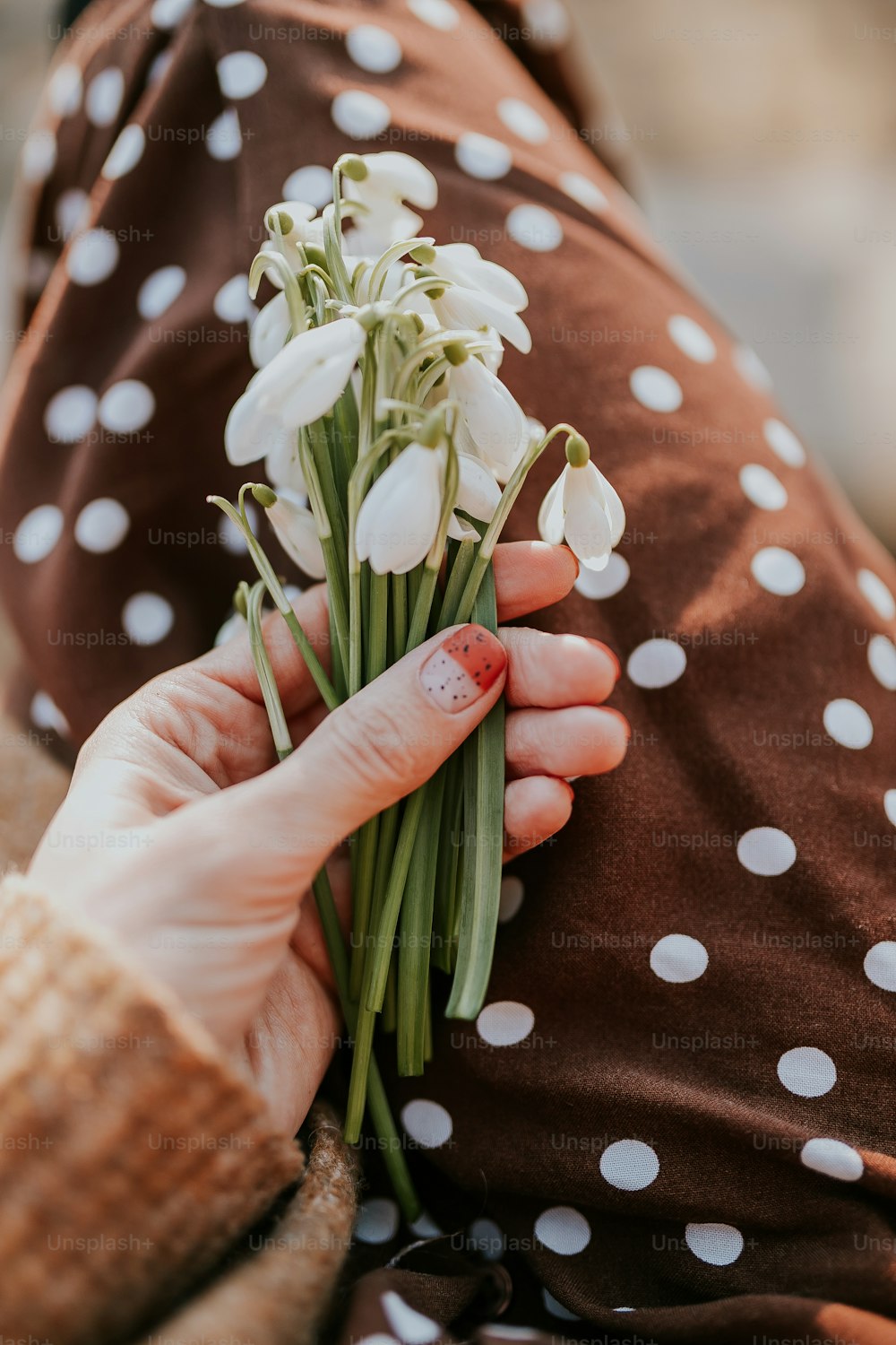 una persona che tiene un mazzo di fiori bianchi