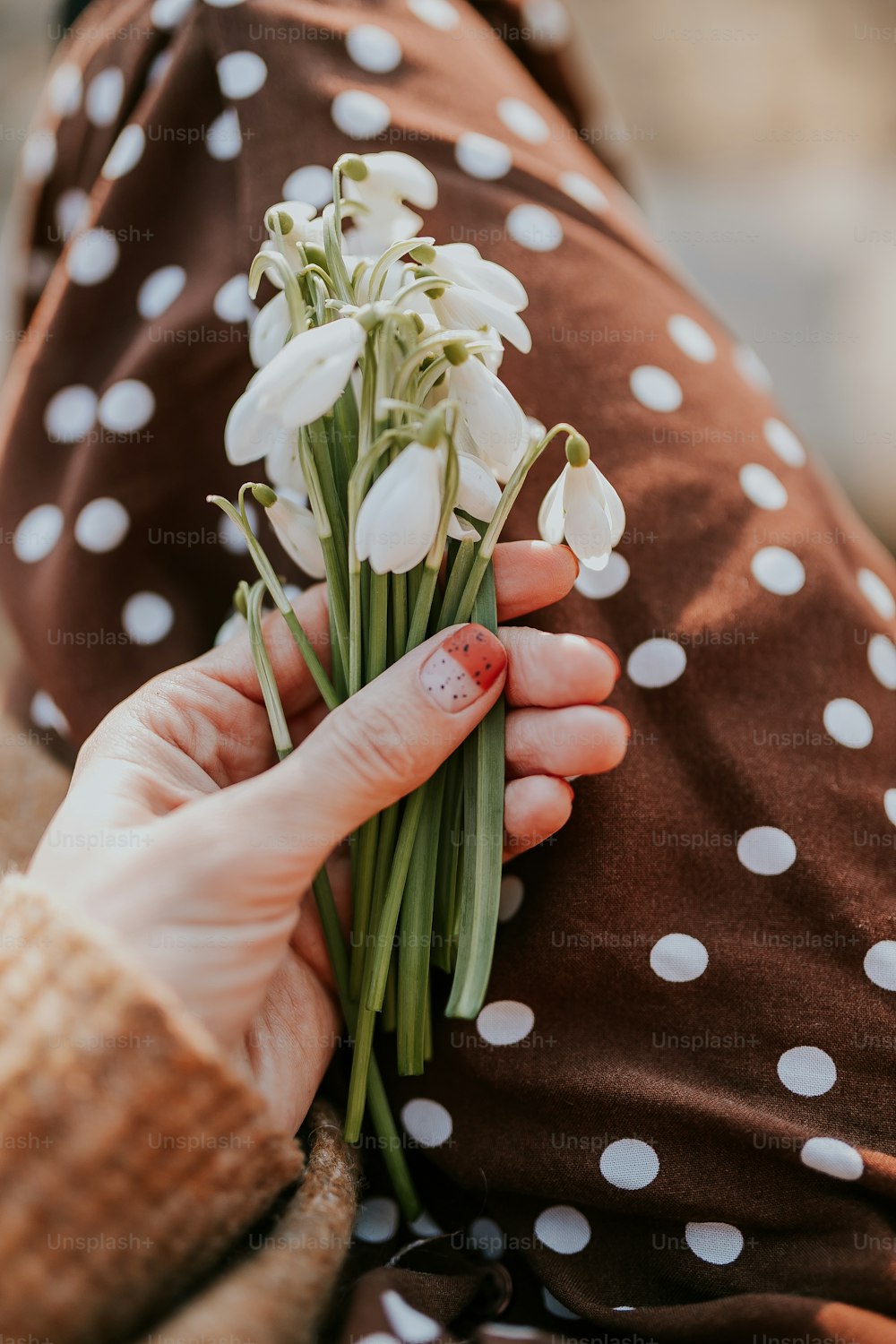 a person holding a bouquet of white flowers