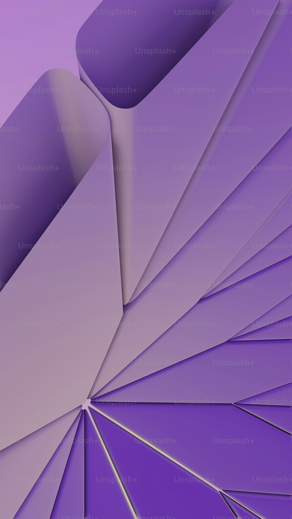 紫と白の傘のグループ