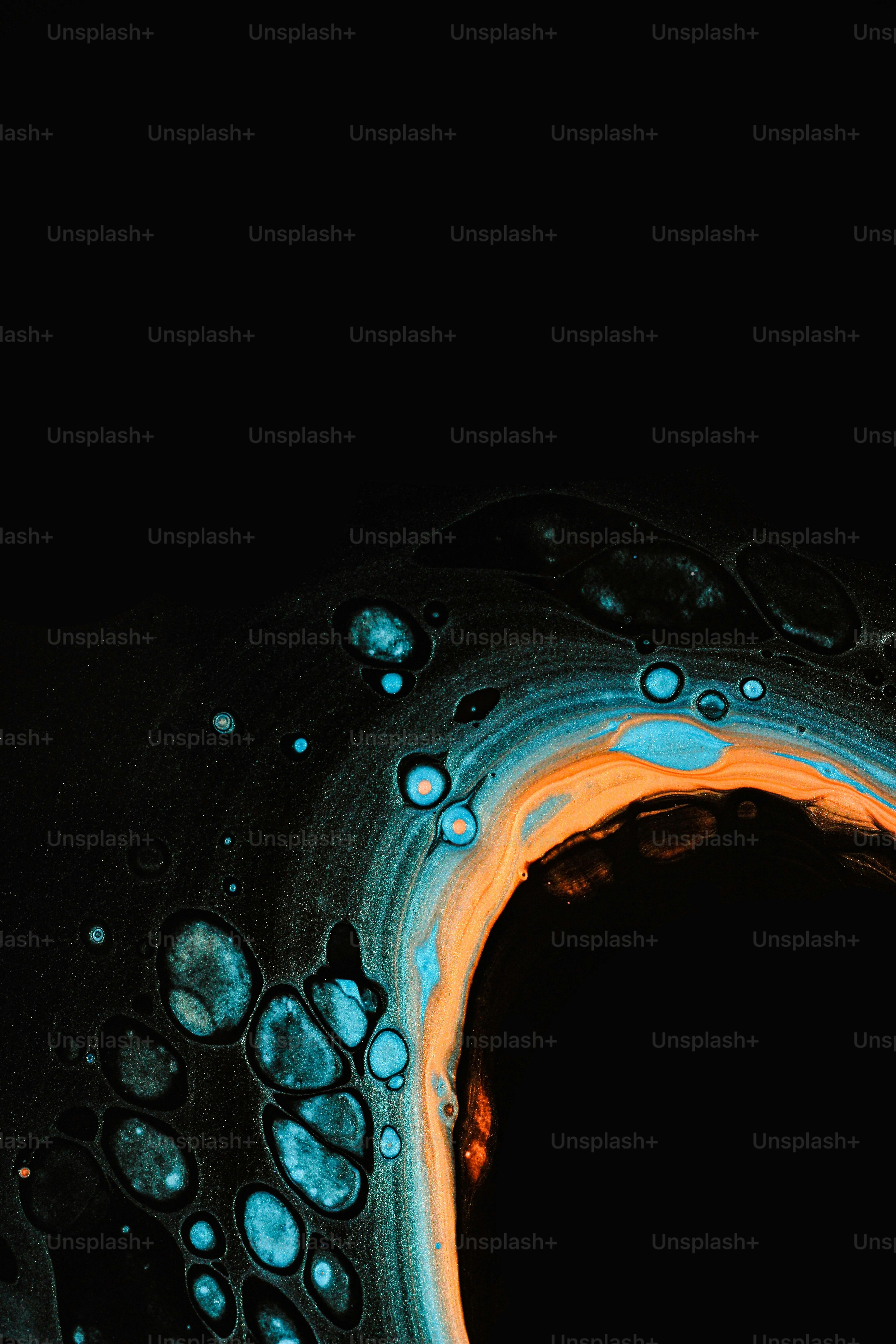 a close-up of a fish