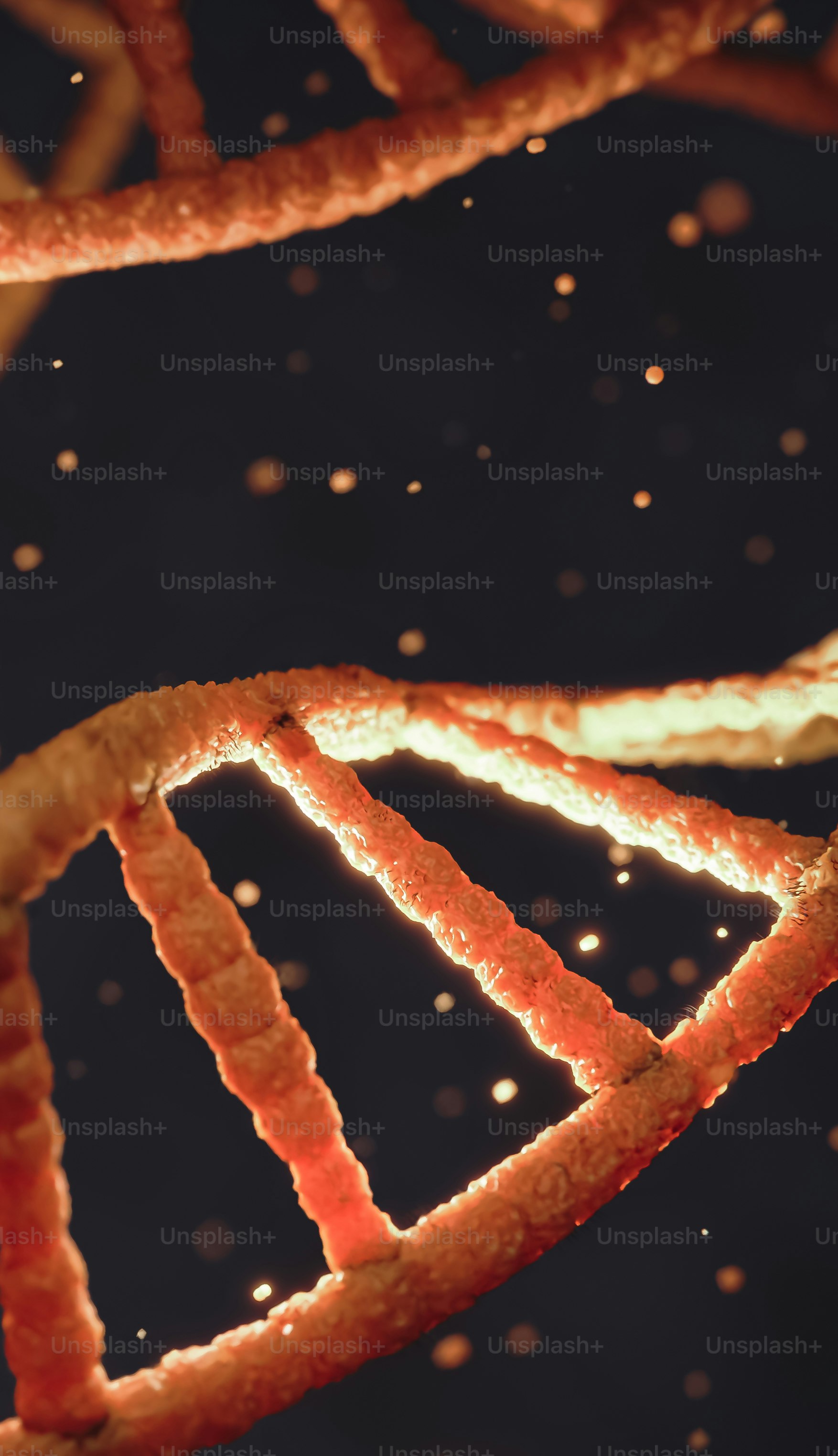 a close up of some bacon