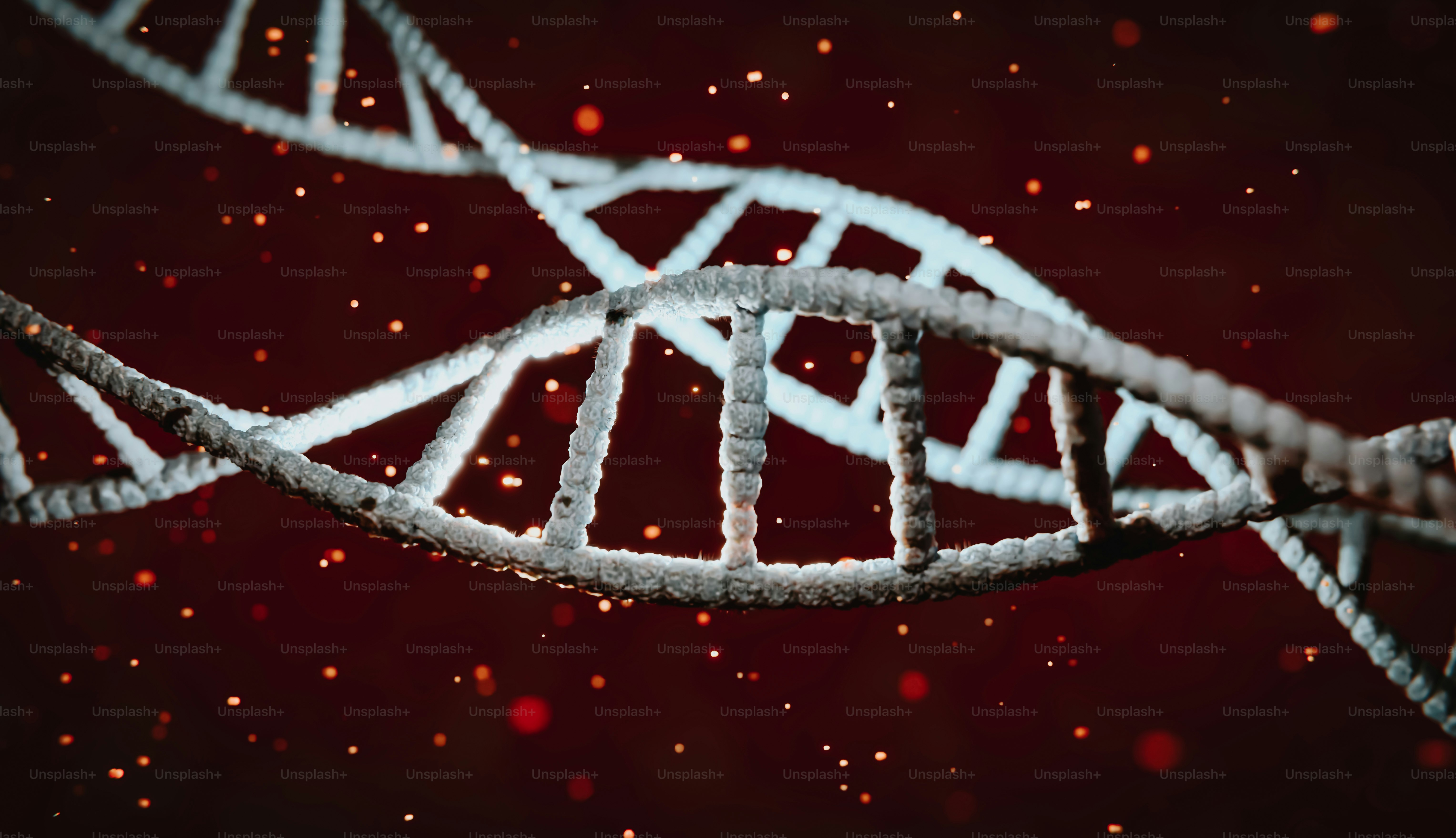 Bhargav Tutorials: Premier Coaching Center for CBSE, JEE, and NEET