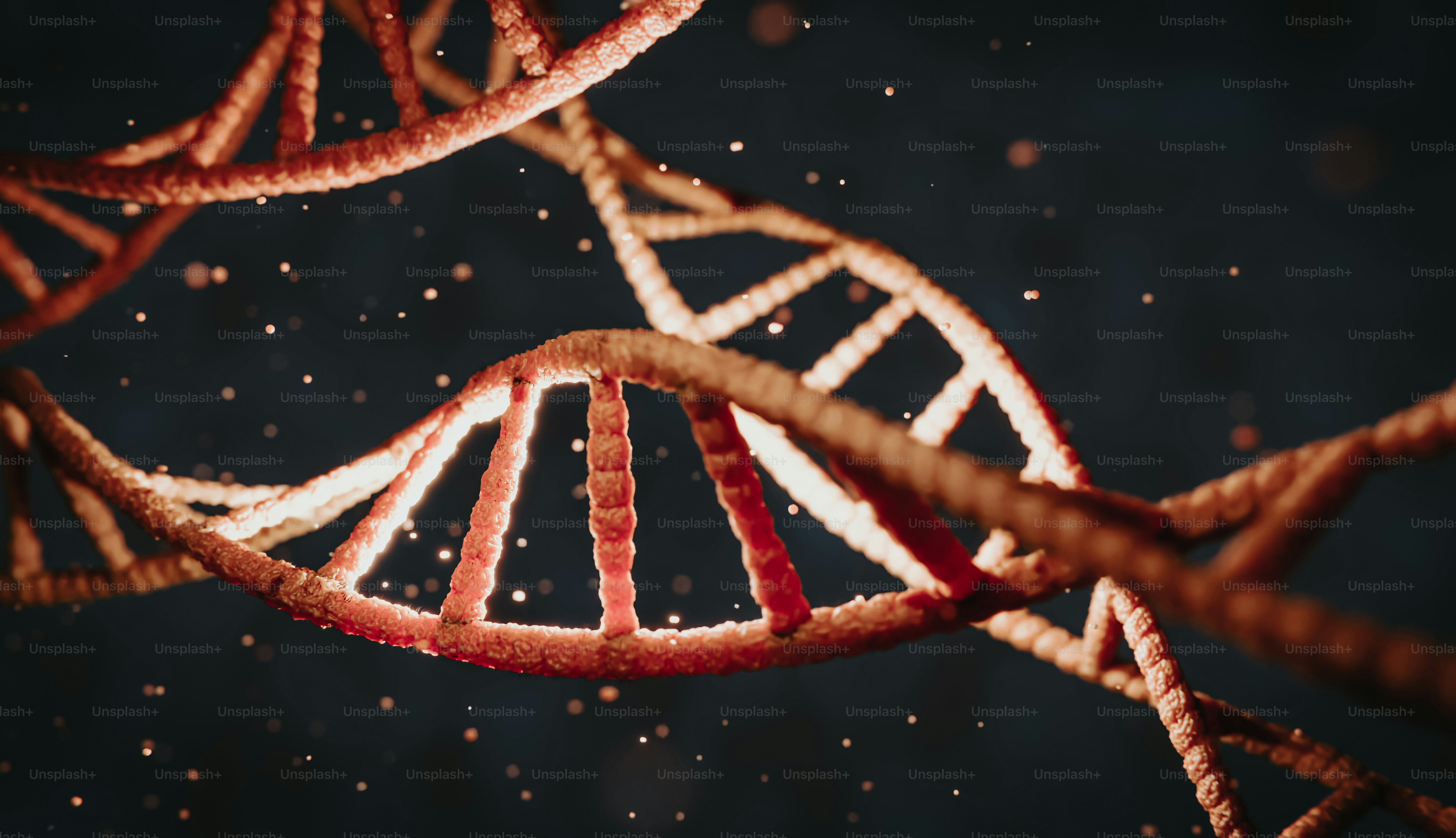 a close up of a leaf