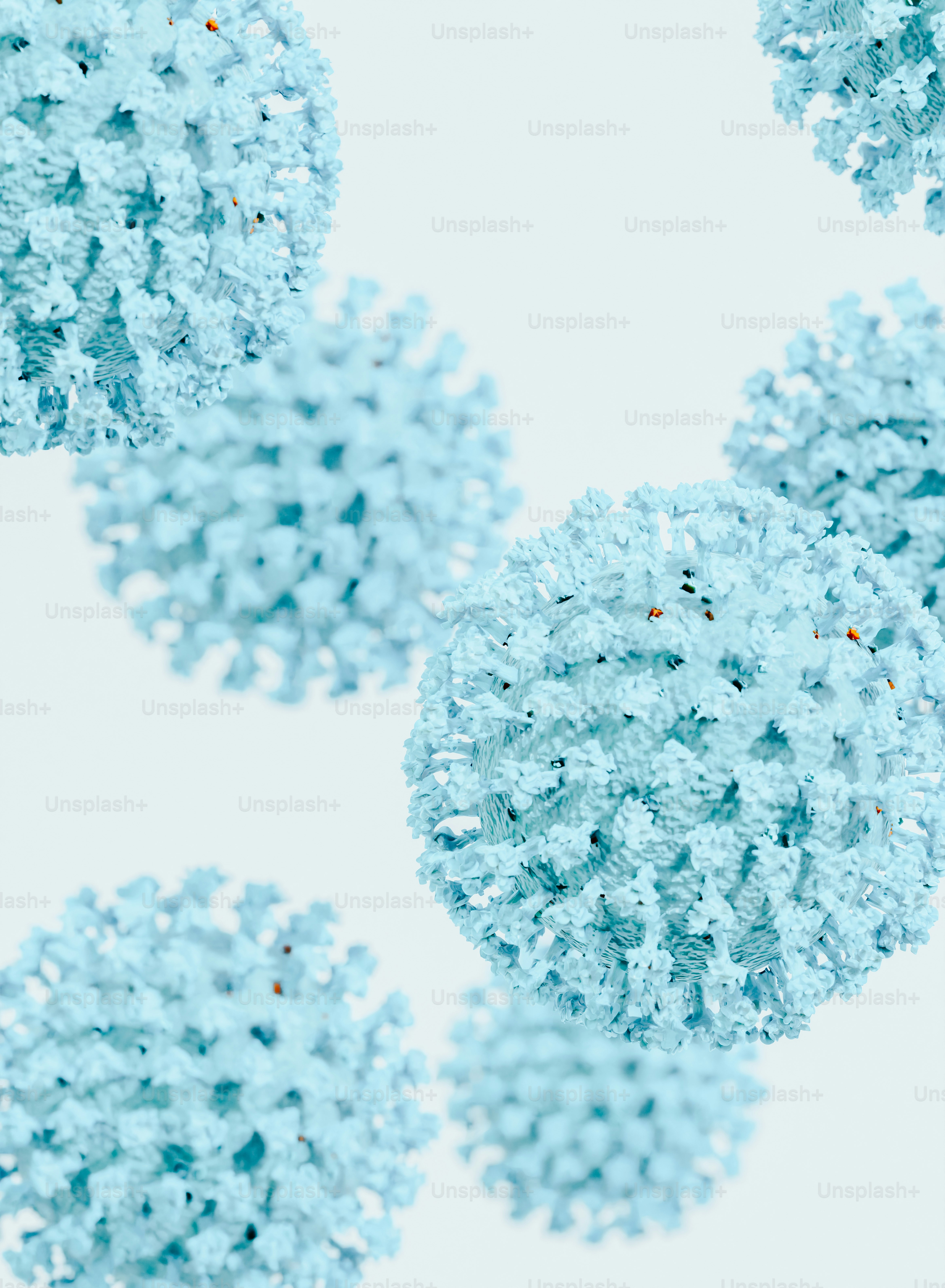 a group of snow covered trees