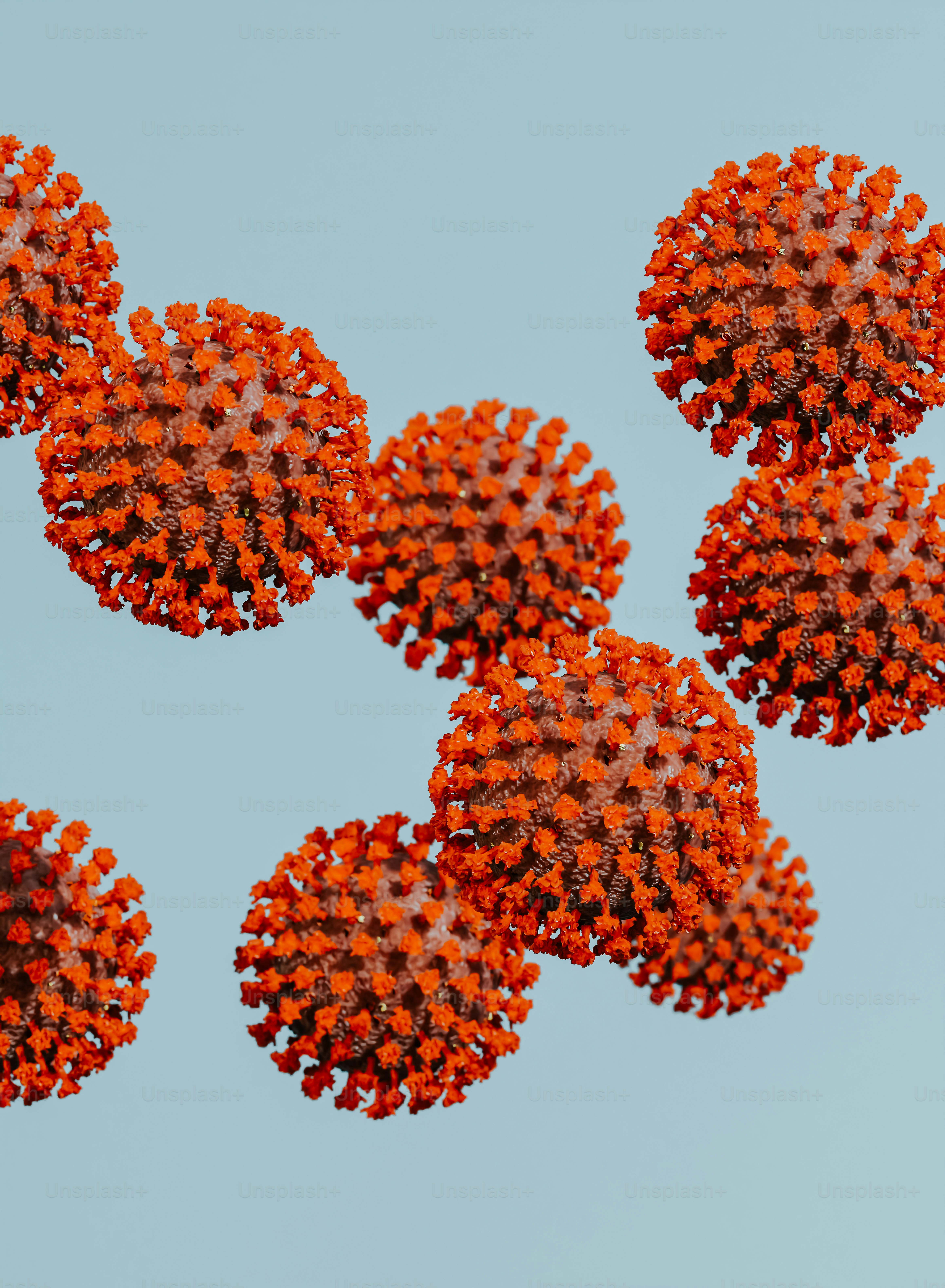 un gruppo di fiori rossi e arancioni