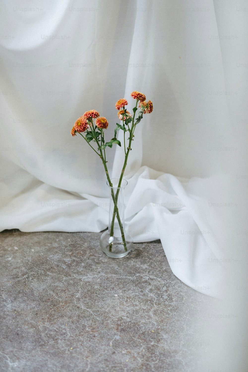 un vaso con fiori d'arancio