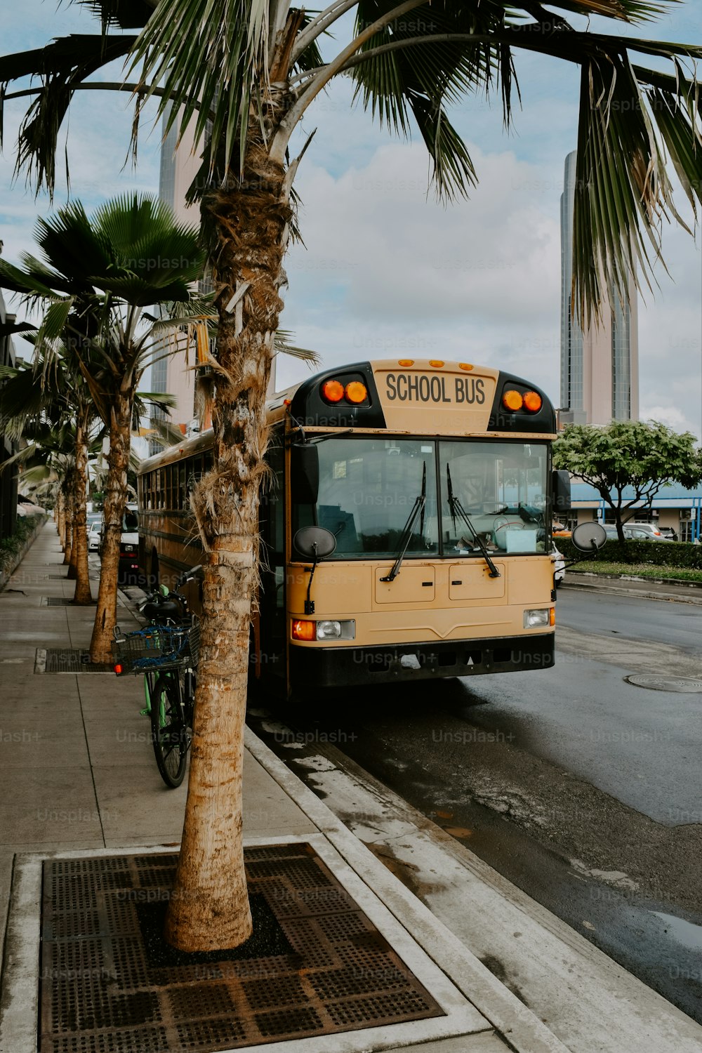 a yellow bus on the street