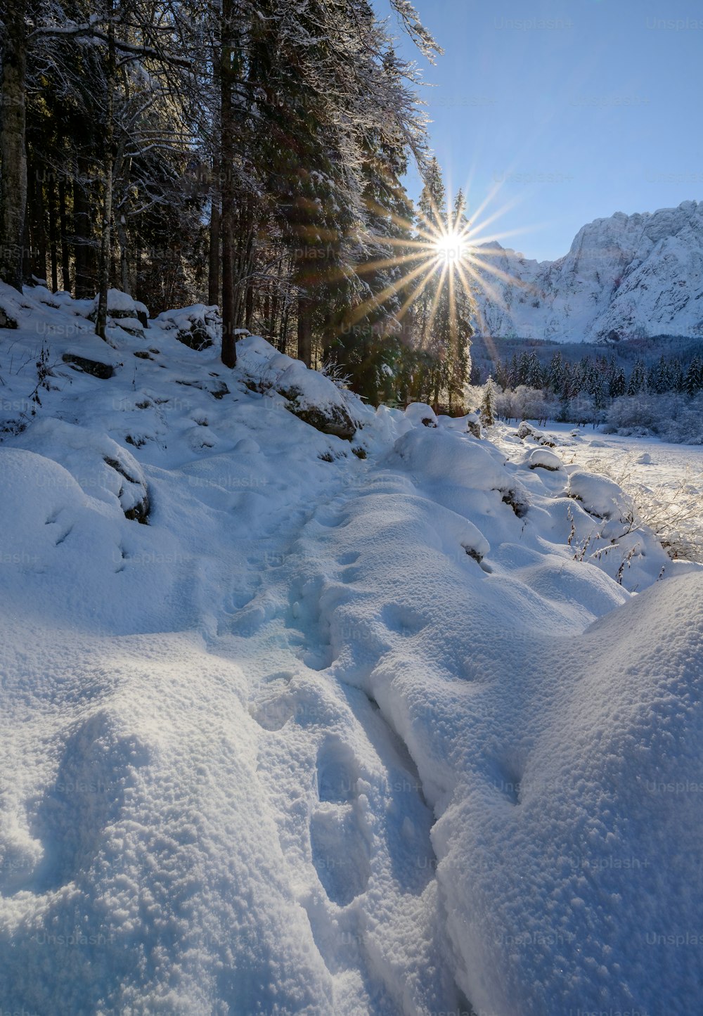 o sol brilha intensamente sobre um caminho nevado