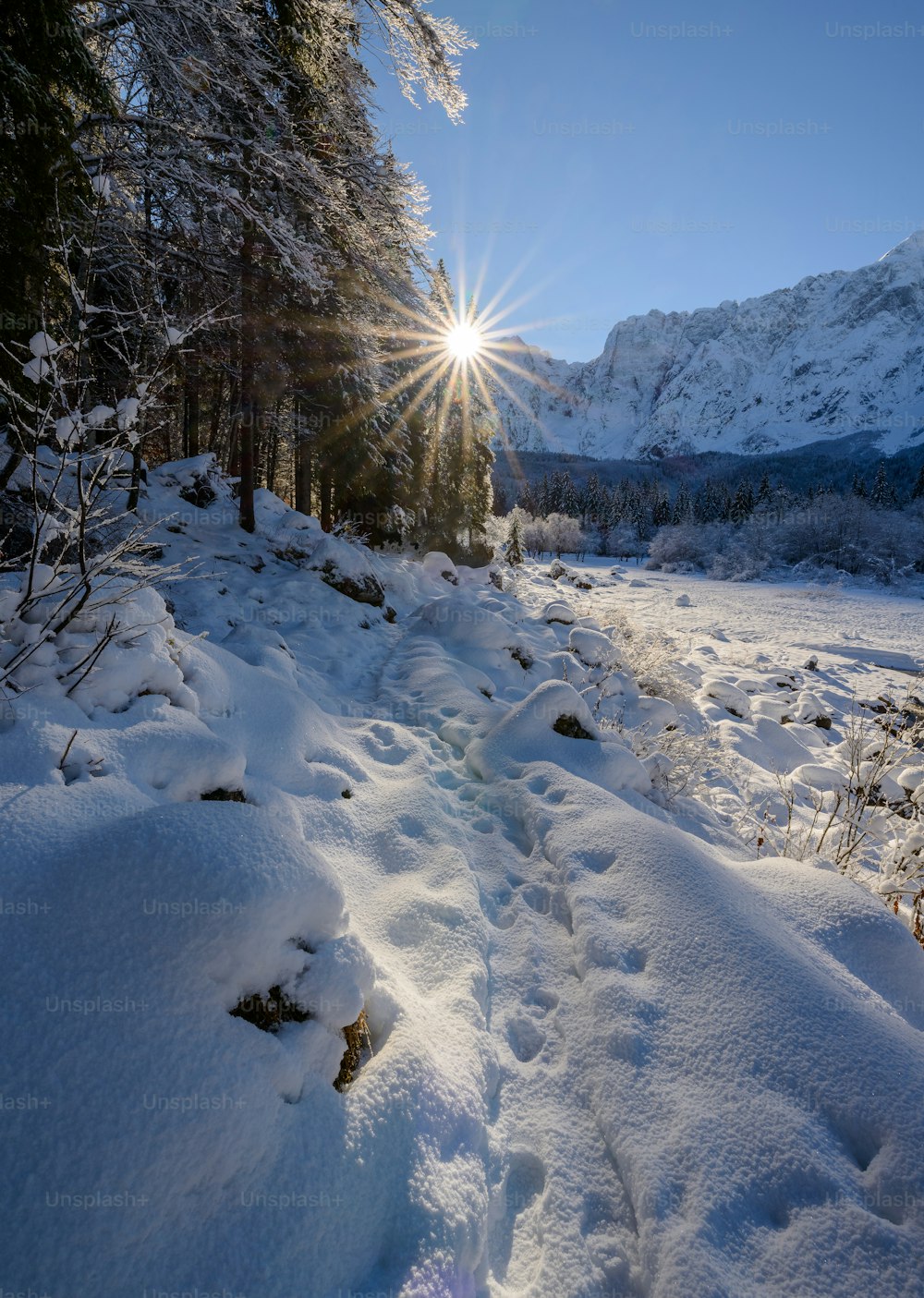 the sun shines brightly over a snowy path