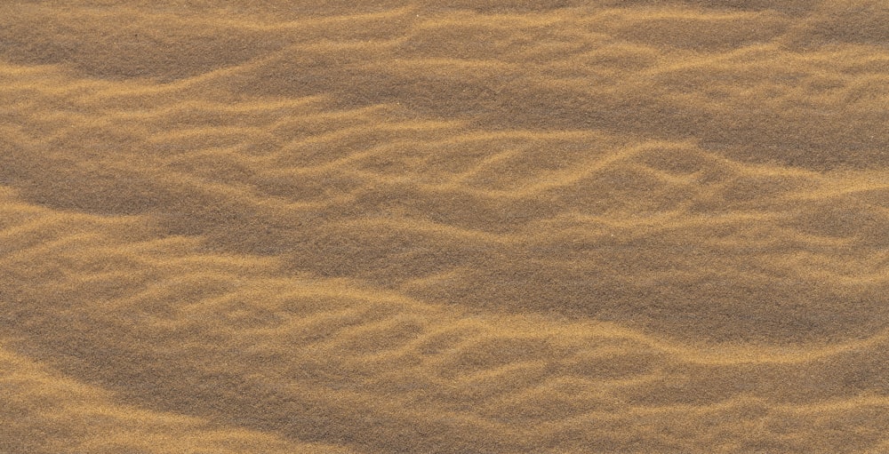 a close up of a brown surface