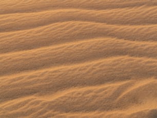 砂のクローズアップ