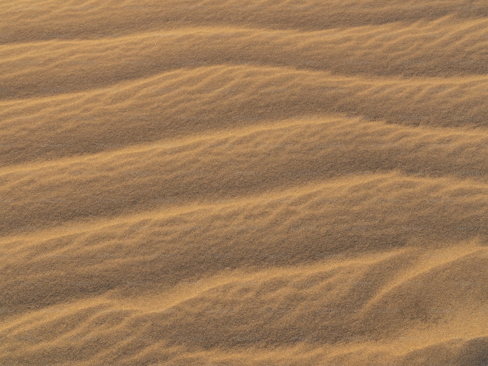 500+ Sand Texture Pictures [HD]  Download Free Images on Unsplash