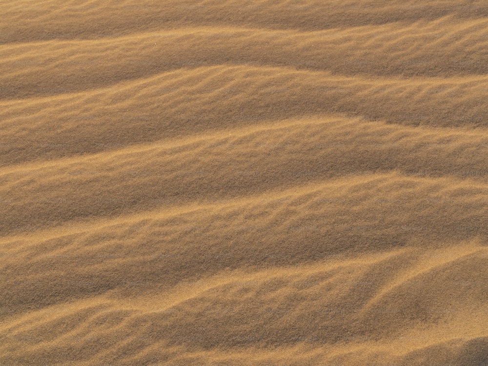 a close up of sand