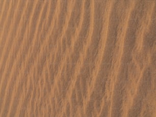 a close up of a wood surface