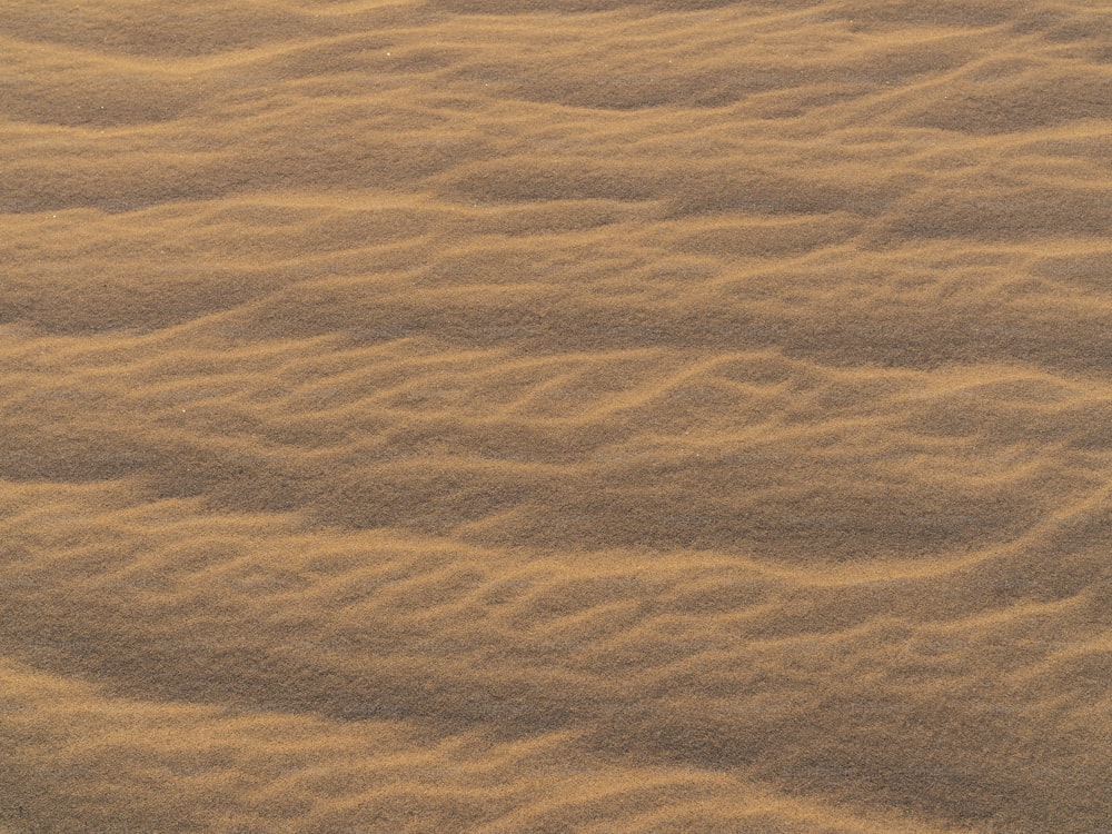a close up of a brown surface