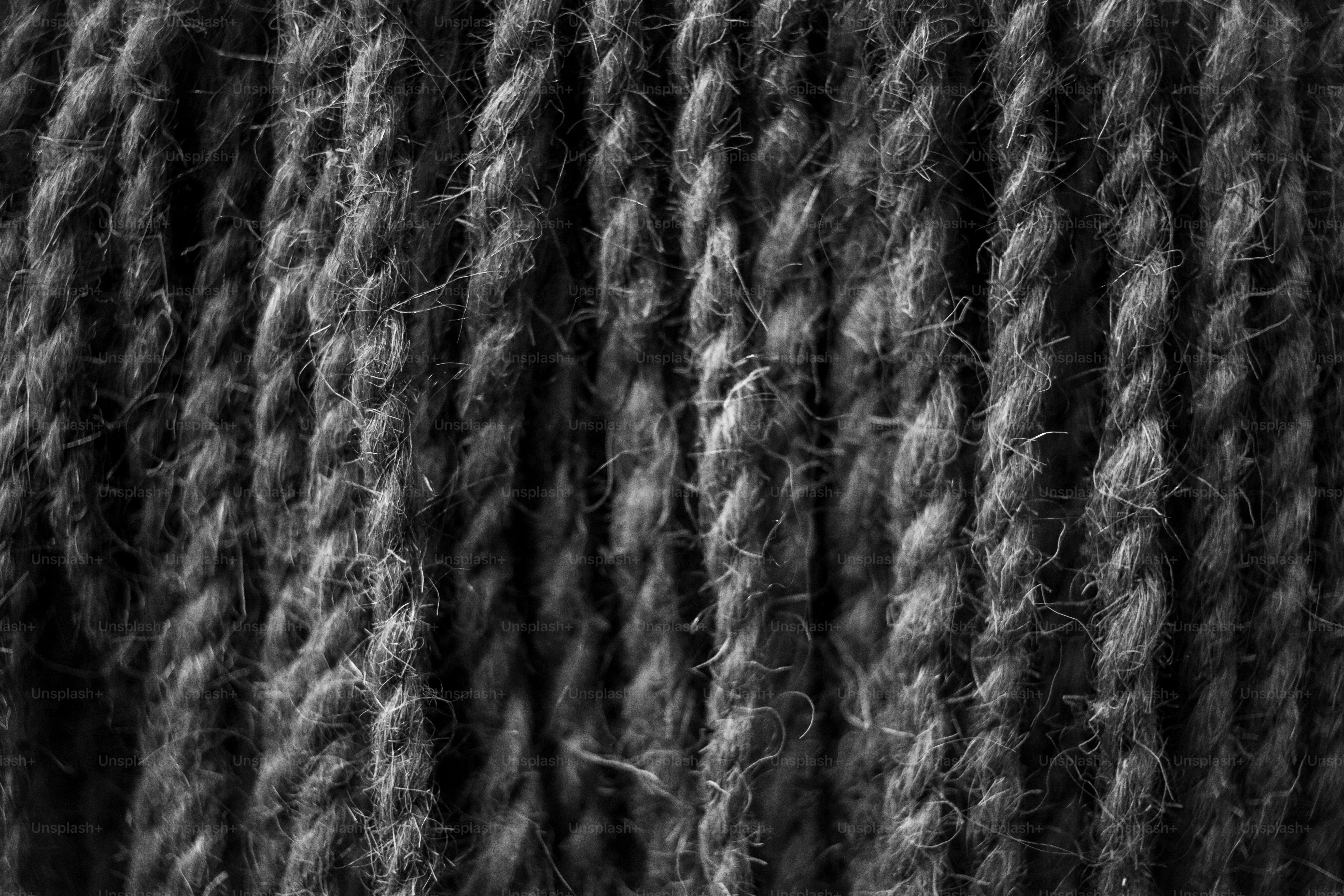 a close-up of some trees