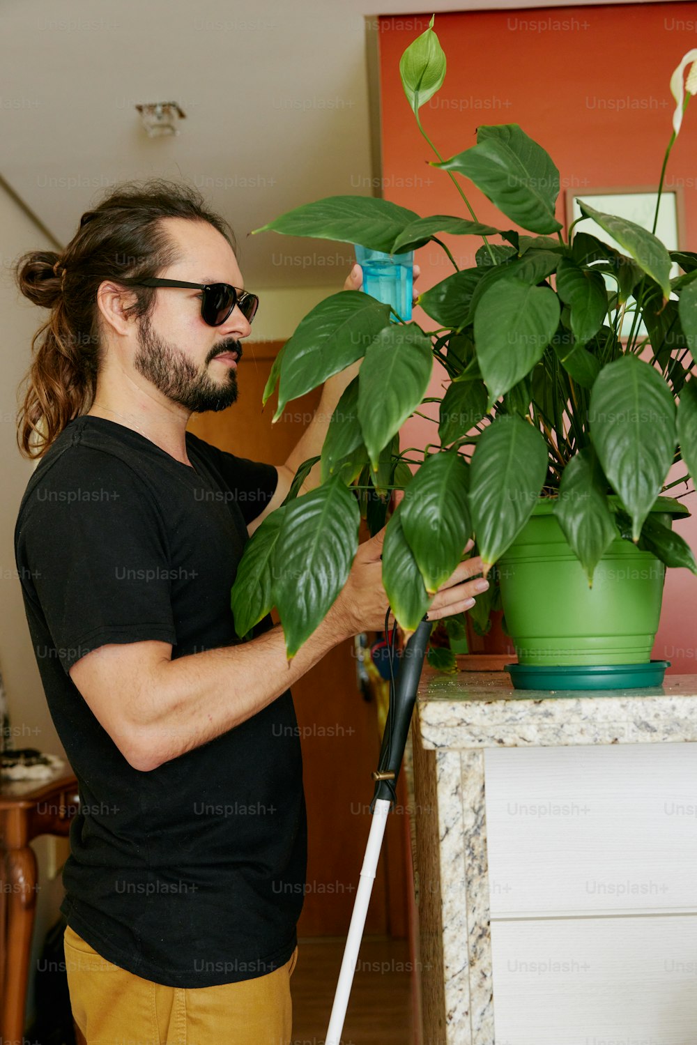 a man with a mop is cleaning a potted plant