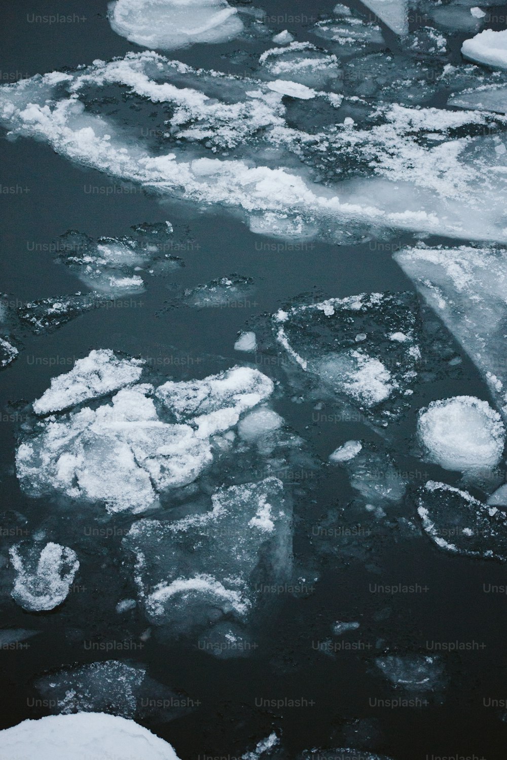 Eisschollen schwimmen auf einem Gewässer