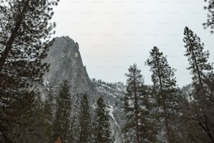 a tall mountain surrounded by lots of trees