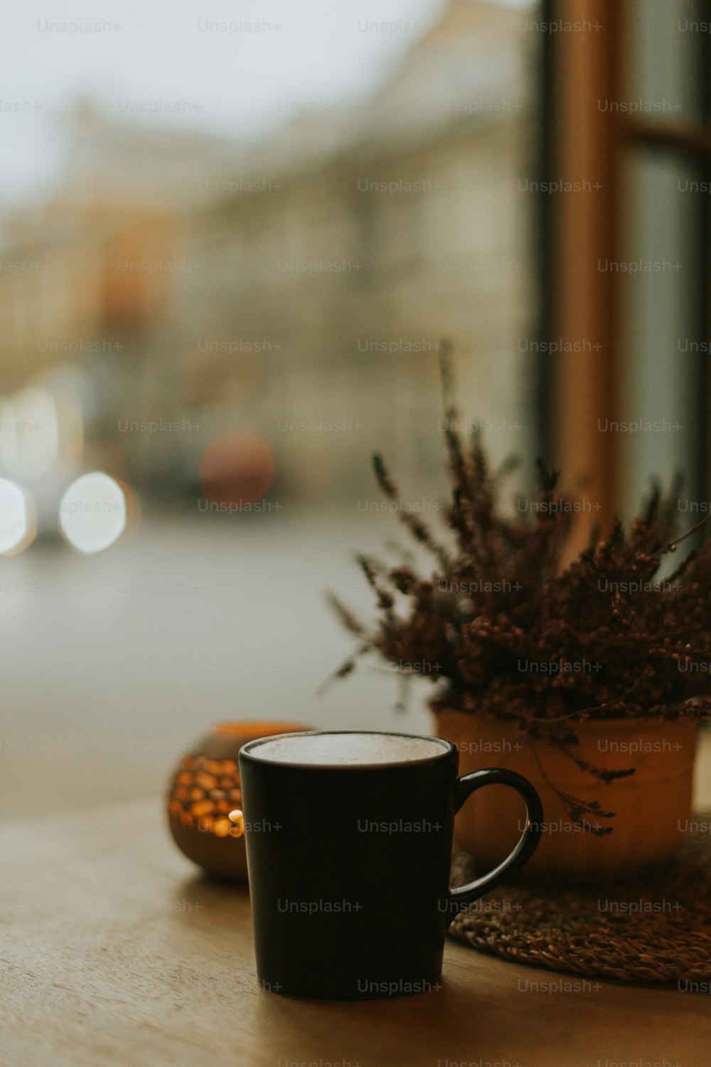 a plant in a mug