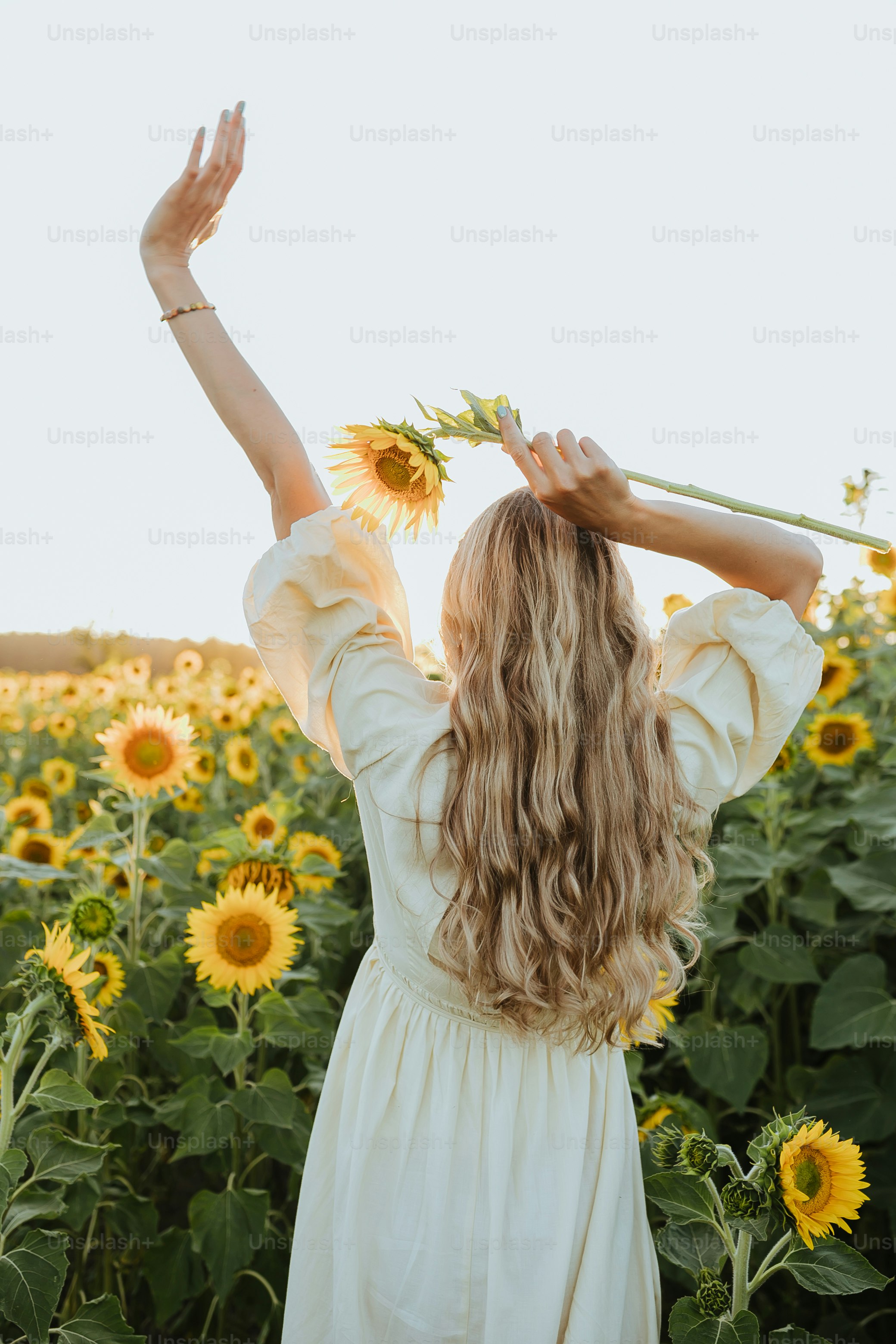 Eine Frau steht in einem Sonnenblumenfeld