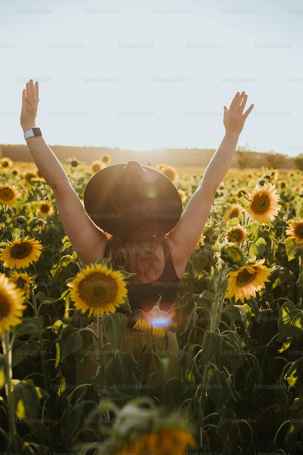 Eine Frau steht in einem Sonnenblumenfeld