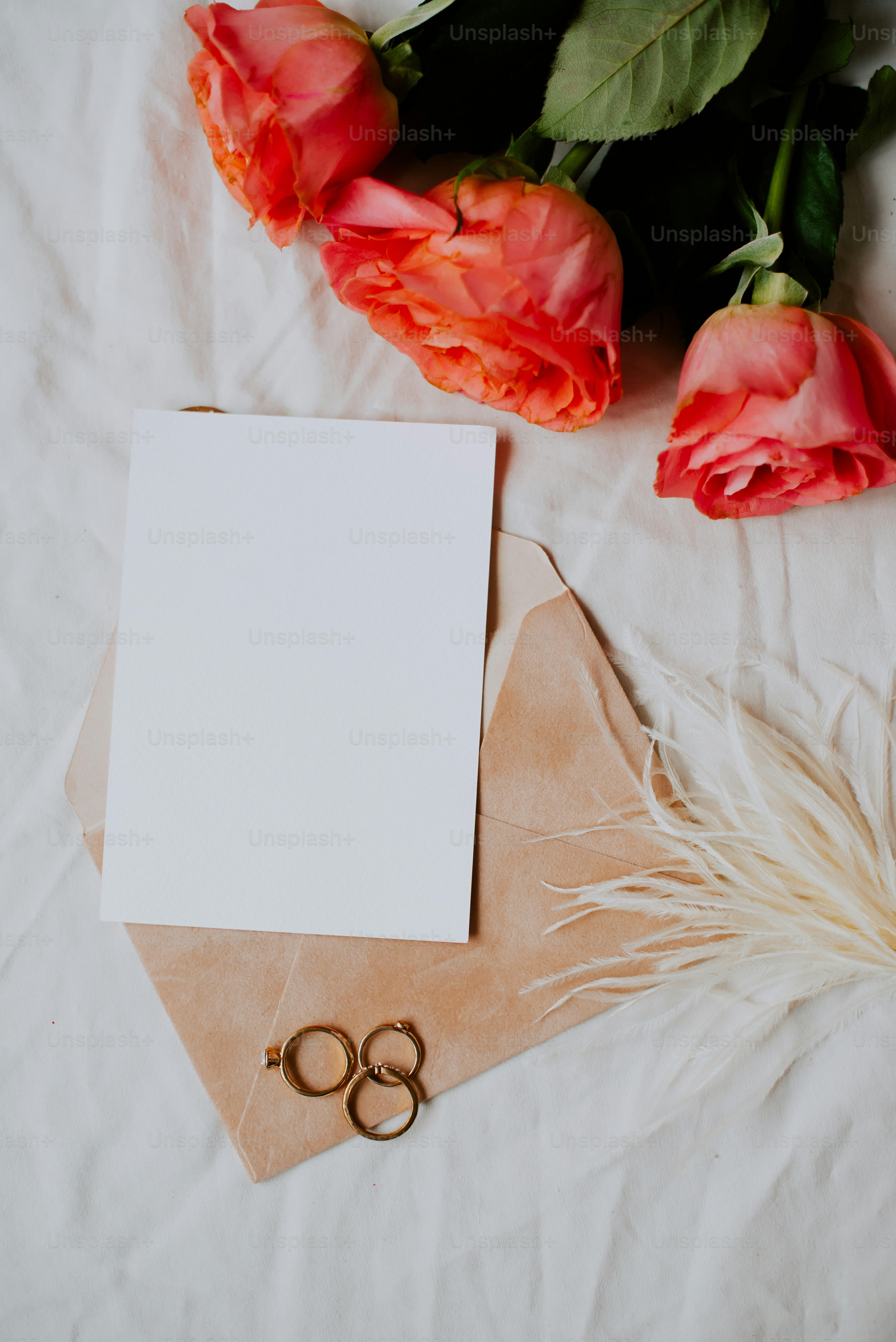 A box of roses and a ring photo – Roses Image on Unsplash