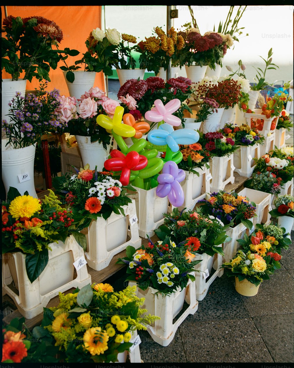 a group of flowers in white boxes