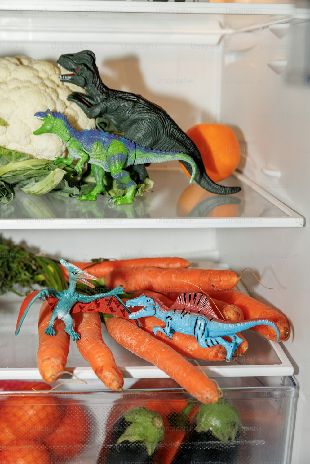 a parrot on a shelf with carrots and broccoli