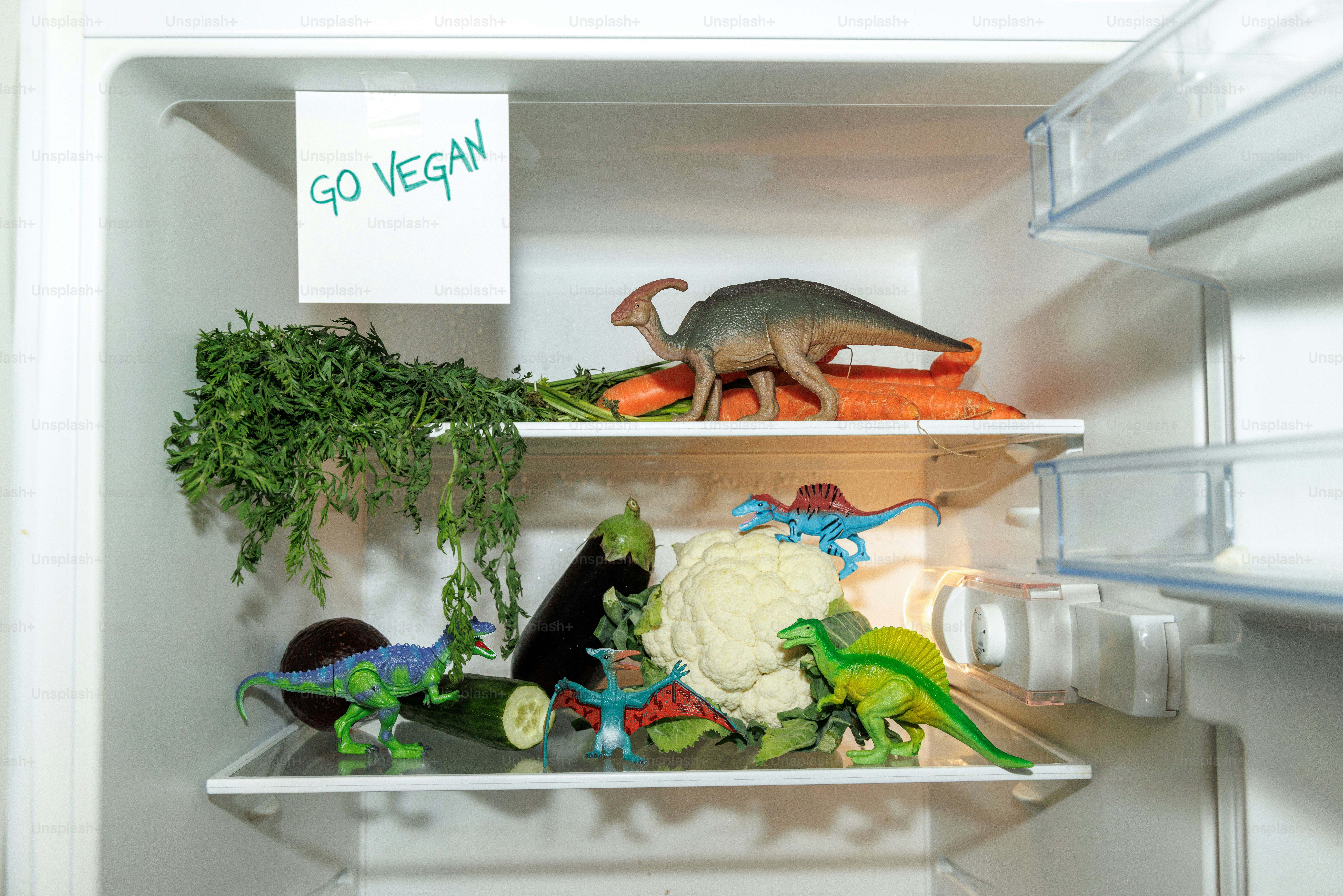 a display of vegetables and a cat