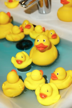 a group of rubber ducks