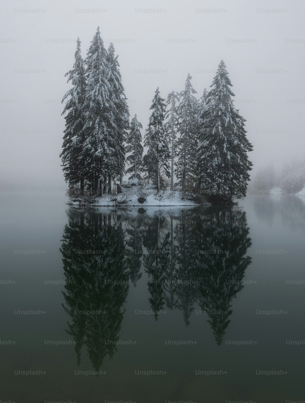 a body of water surrounded by trees covered in snow