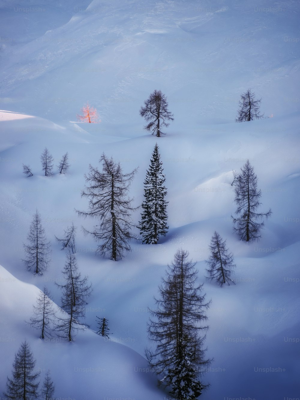 a person riding a snowboard down a snow covered slope